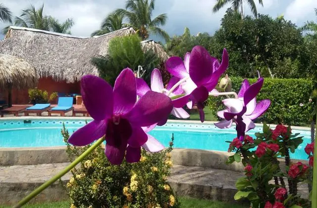 Hotel Sol Azul piscina 2